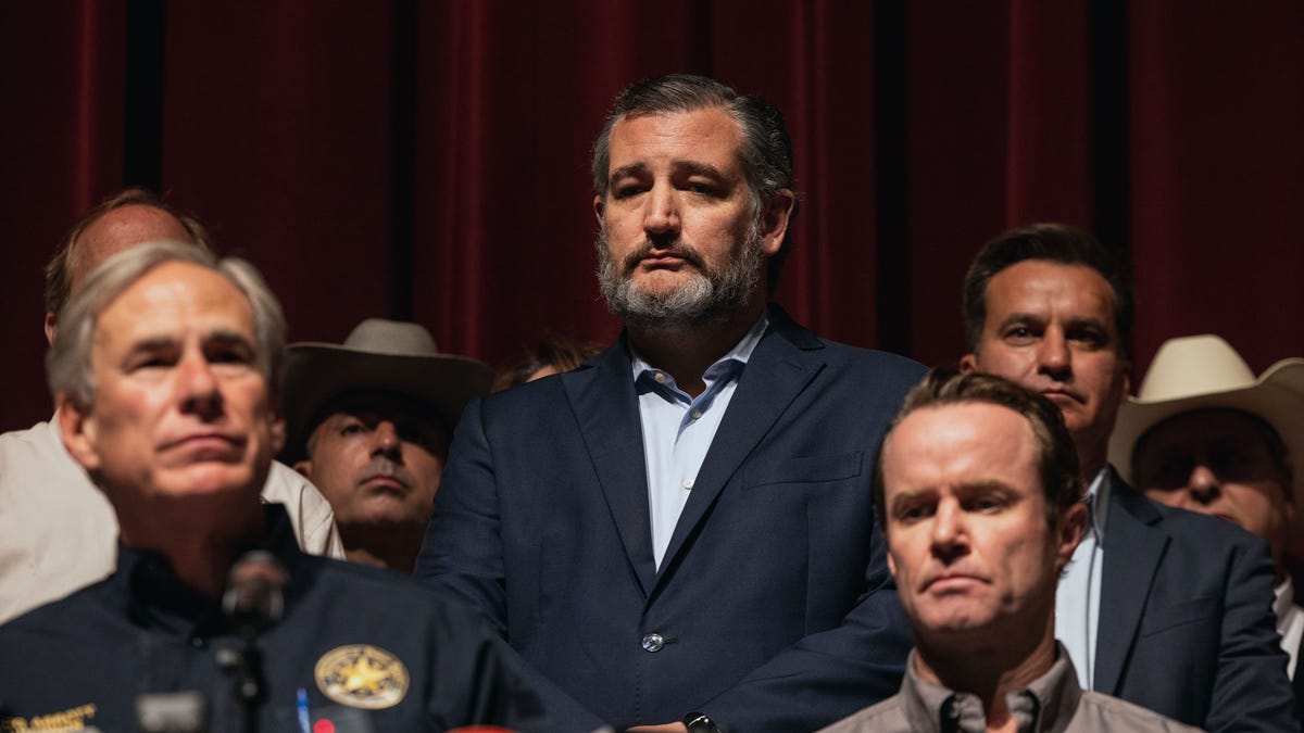 Republican Senator Ted Cruz at Texas school shooting press conference