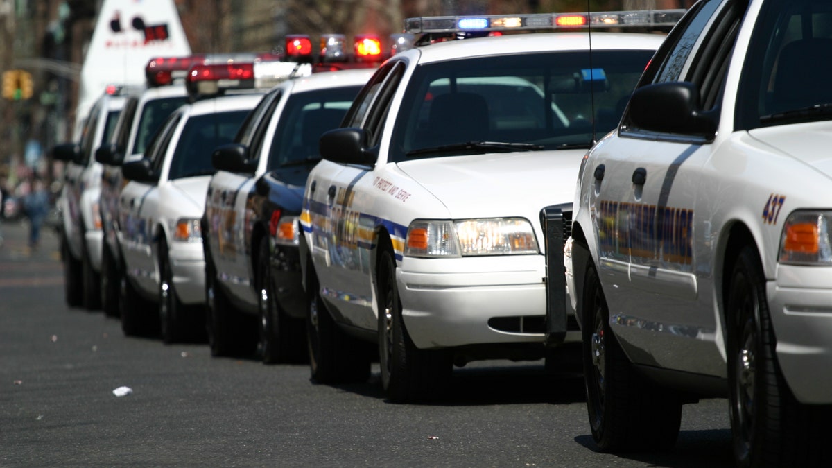 Police cars lined up