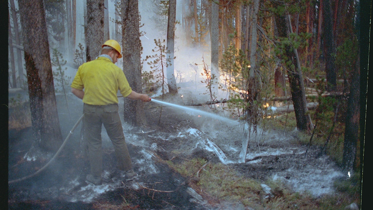 yellowstone wildfires 1988