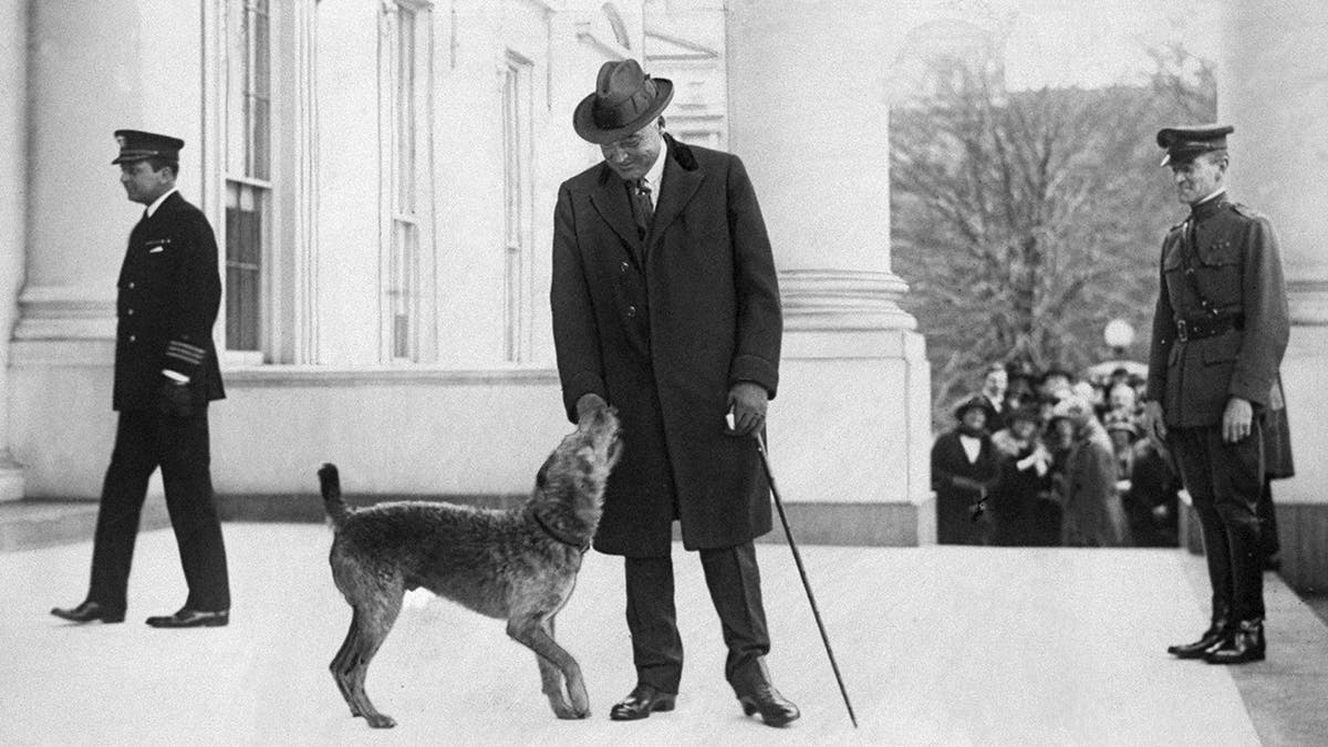 President harding and his dog