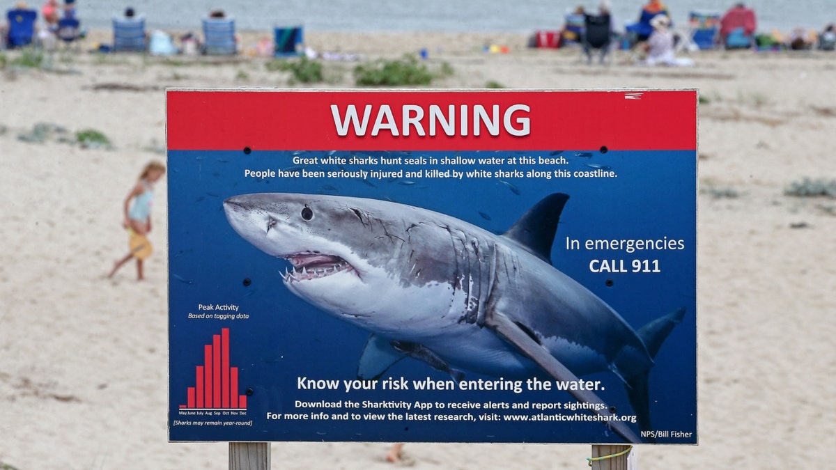 Great White Sharks warning