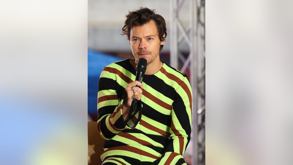 Harry Styles on stage at the Today show