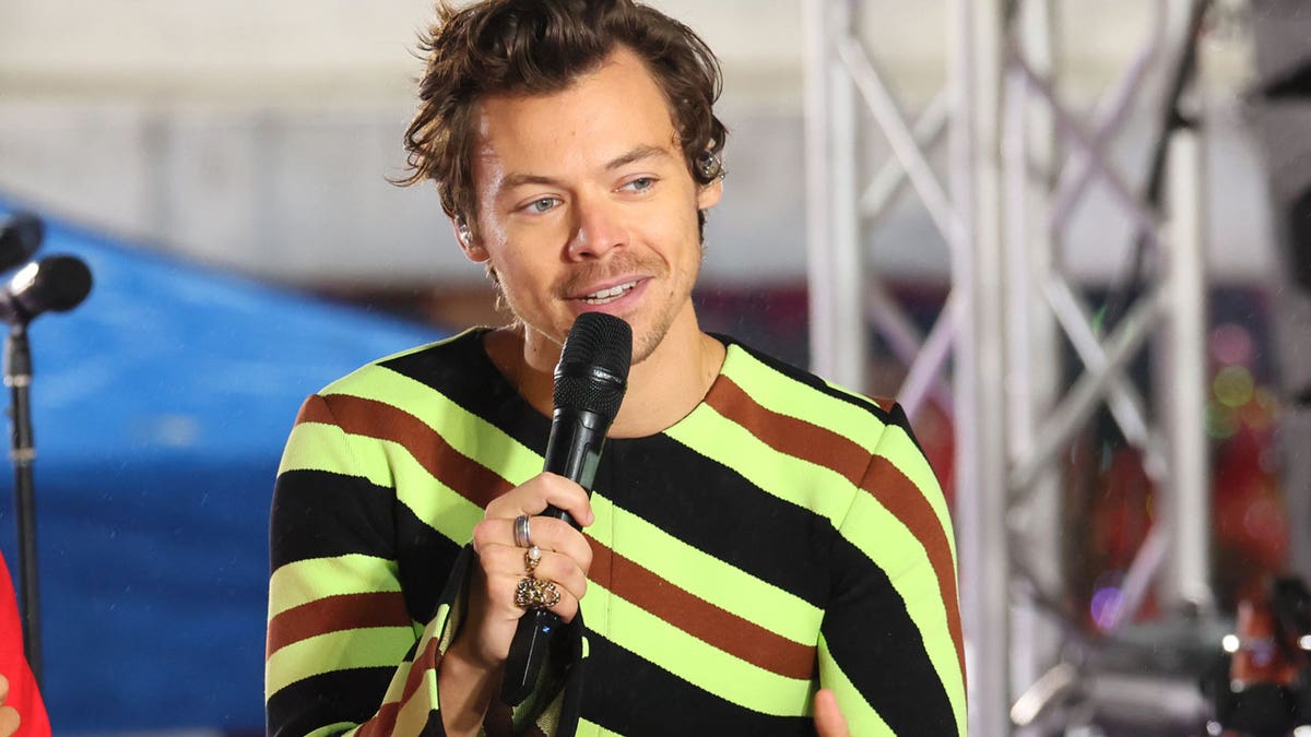 Harry Styles appears on today show