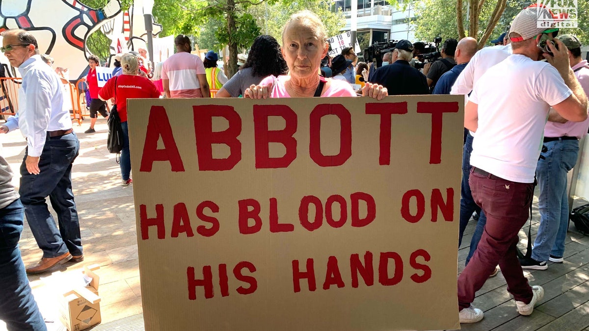 Woman holds anti-gun sign at protest