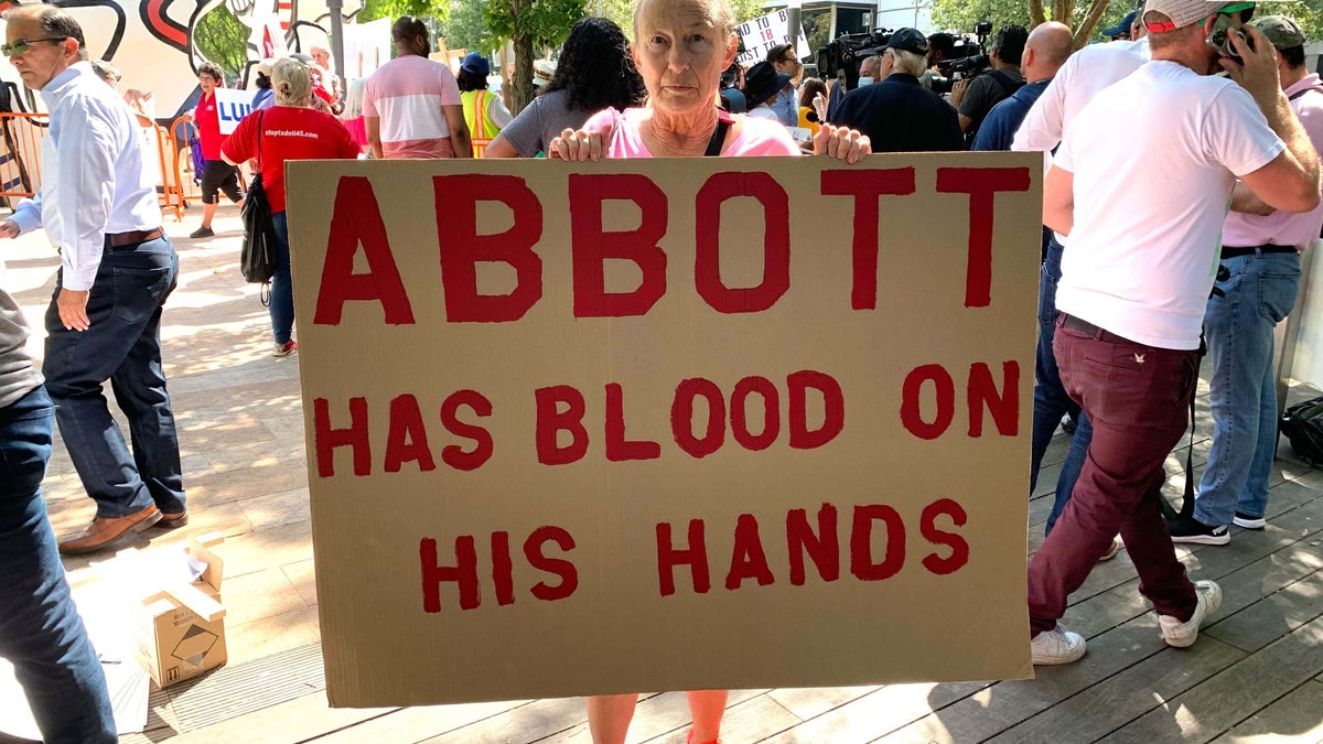 Woman holds anti-gun sign at protest