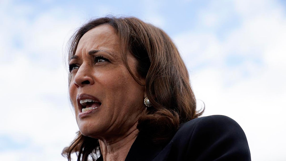 Kamala Harris Buffalo shooting