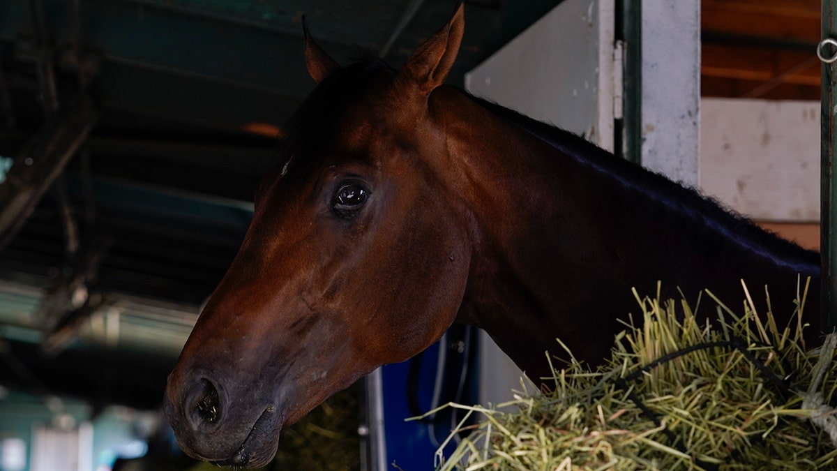 Messier Kentucky Derby