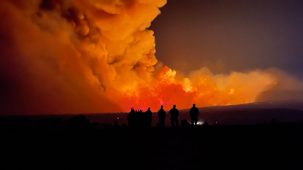 New Mexico Fire