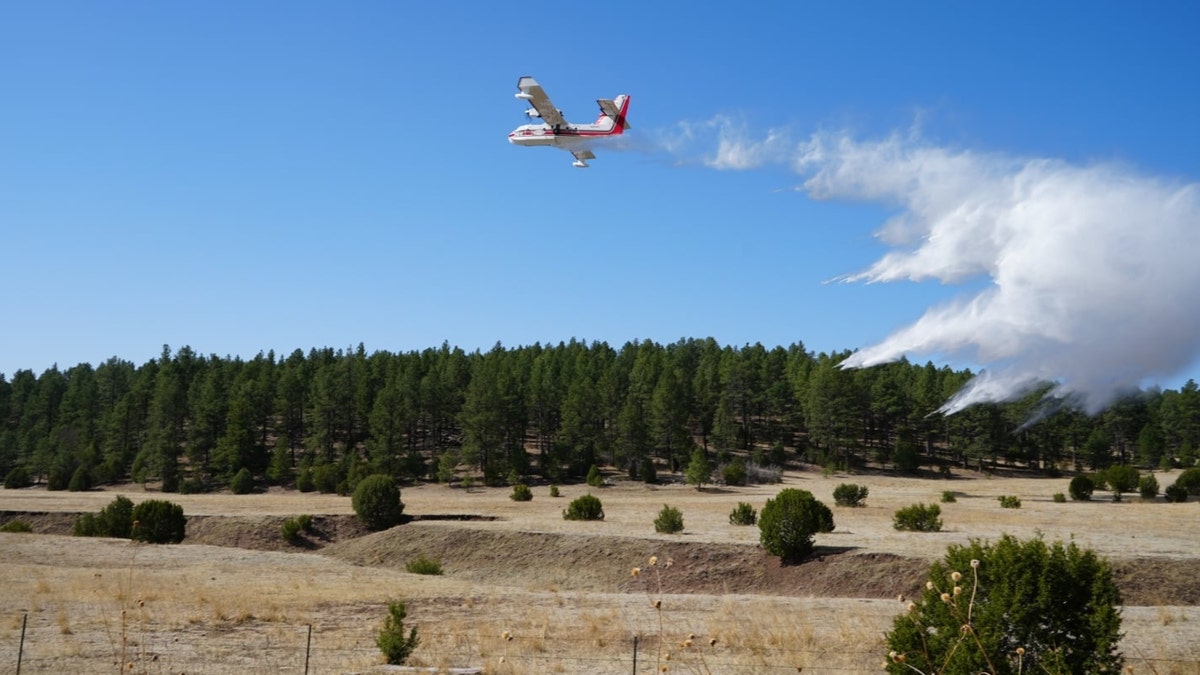 New Mexico Fire Plane