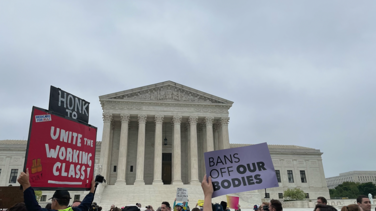 Protestors at supreme court