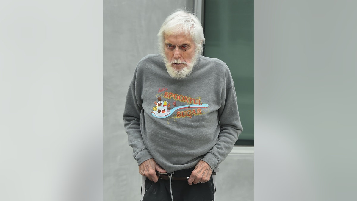 Dick Van Dyke spotted
