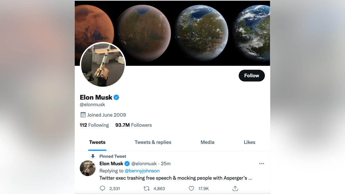 Elon Musk Twitter Page