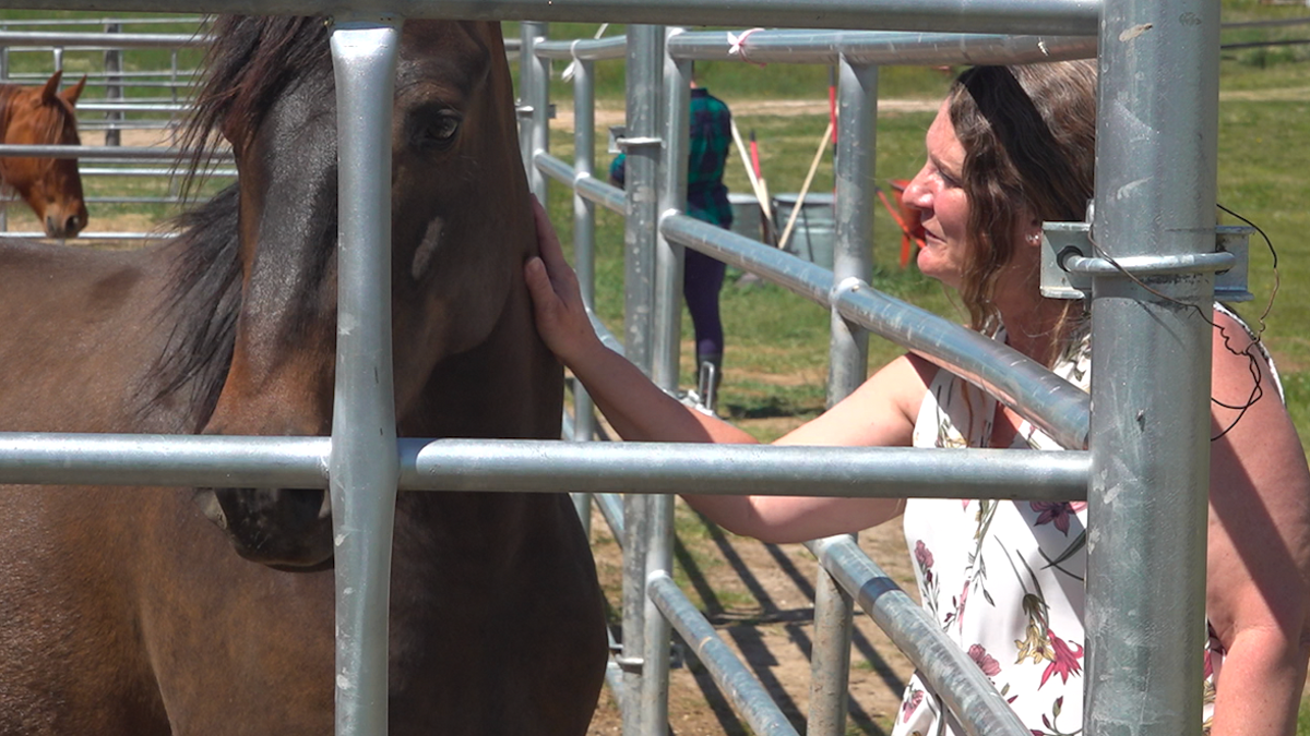 Veterans horse therapy mental health