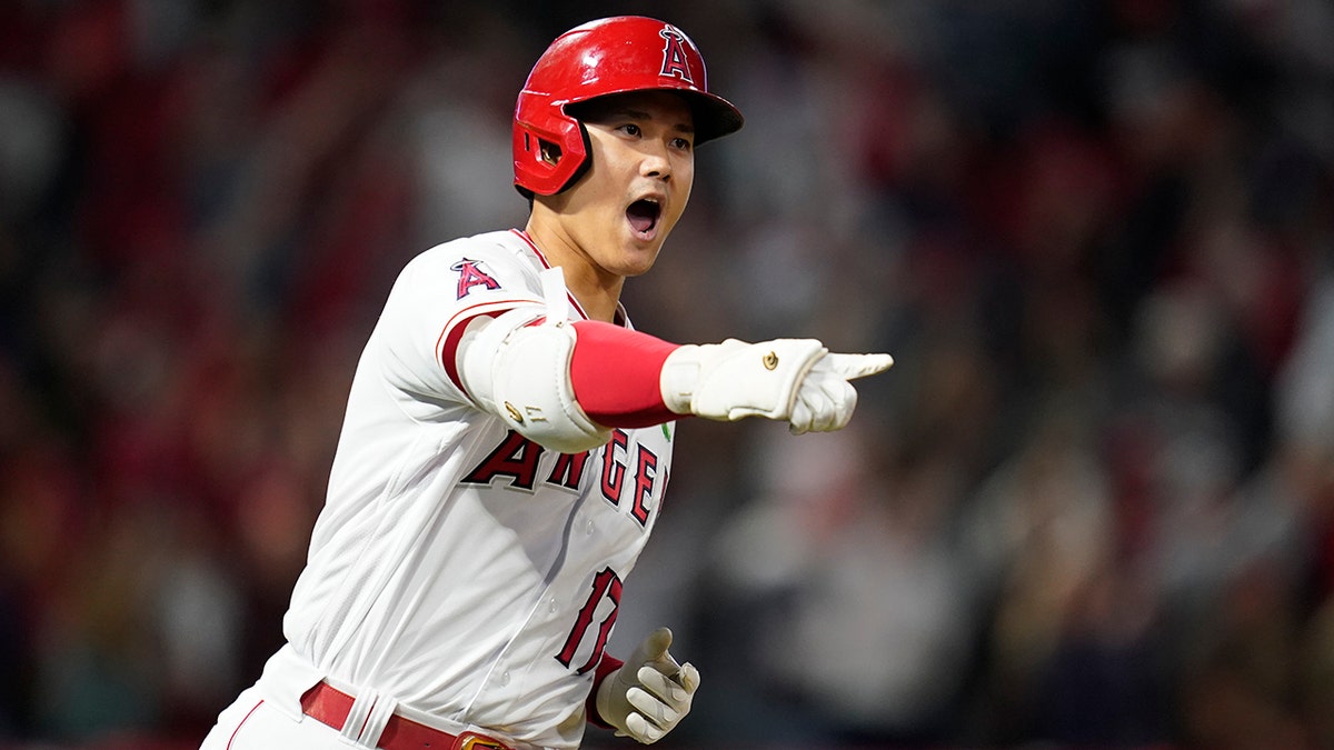Los Angeles Angels designated hitter Shohei Ohtani (17) reacts as he runs the bases after hitting a grand slam home run during the seventh inning of a baseball game against the Tampa Bay Rays in Anaheim, Calif., Monday, May 9, 2022. Andrew Velazquez, Brandon Marsh, and Mike Trout also scored. 