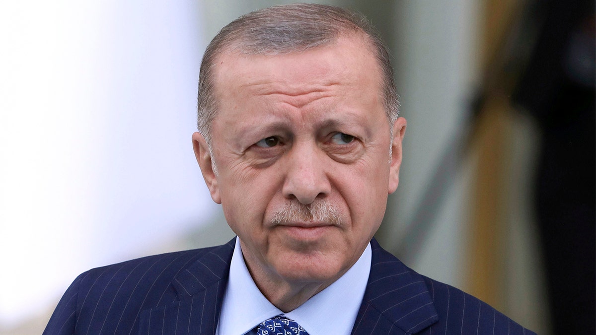 Turkish President Recep Tayyip Erdogan