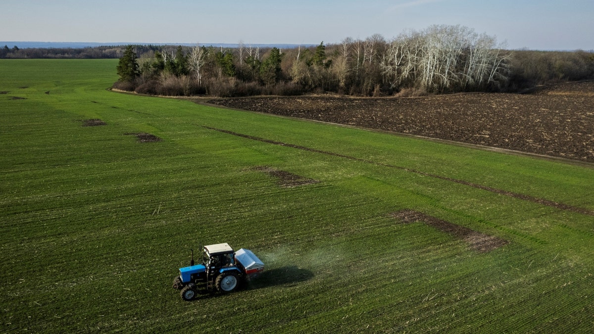 Ukraine farm wheat