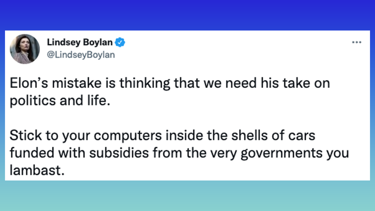 Boylan v Musk