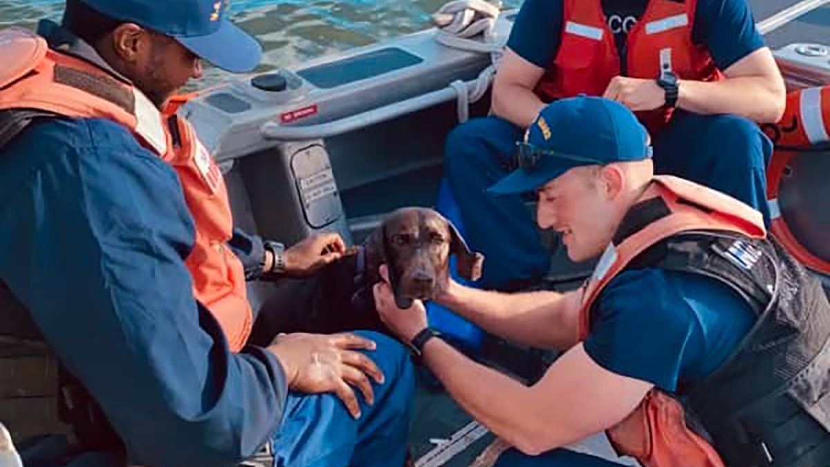 Coast Guard North Carolina dog rescue