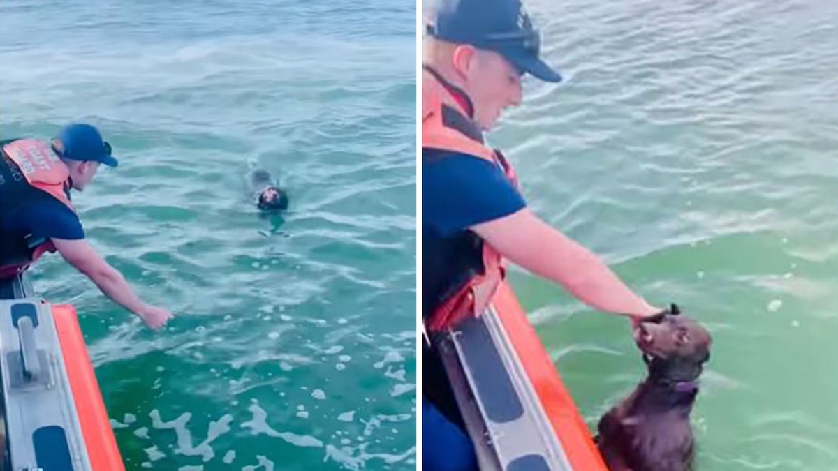 Coast Guard North Carolina dog rescue