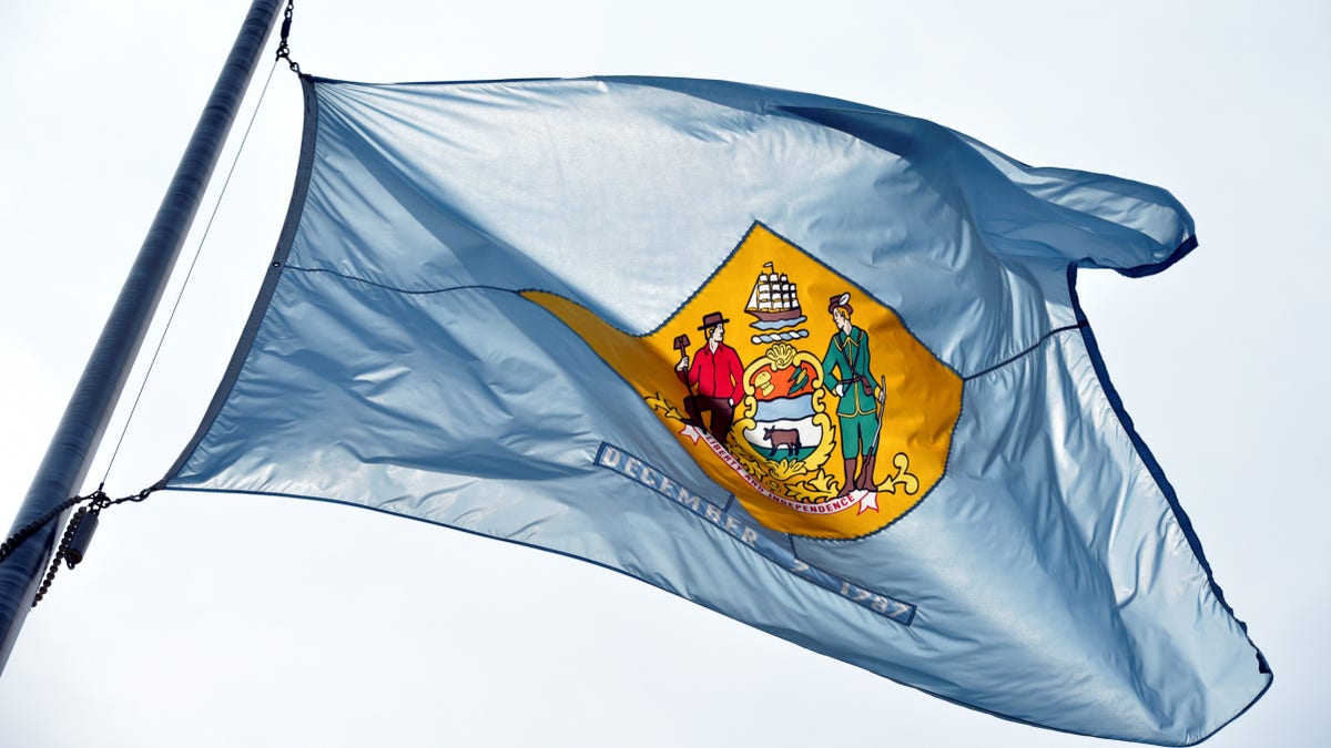Delaware flag