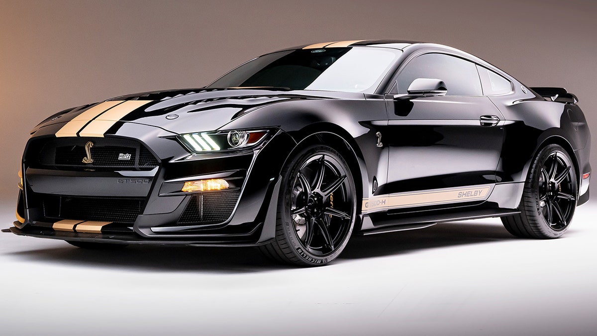 Hertz Shelby