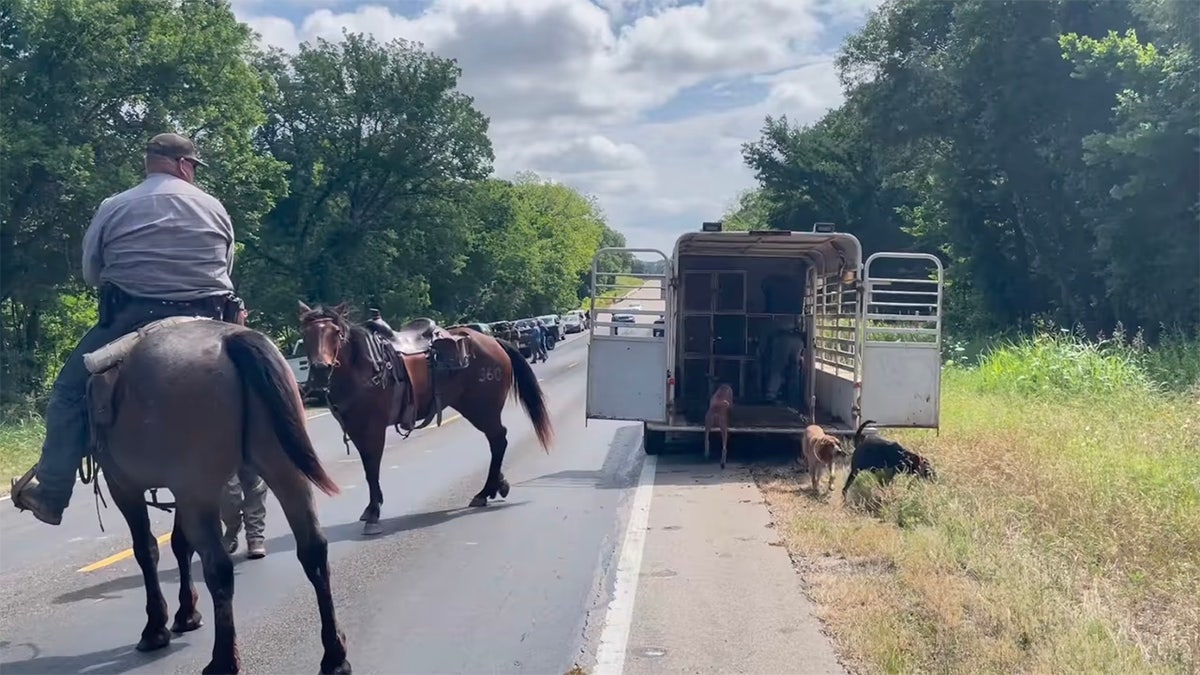 Texas authorities use horses to comb countryside for escaped inmate Gonzalo Lopez