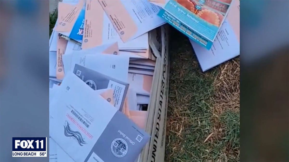 los angeles, stolen ballots, mail theft, usps