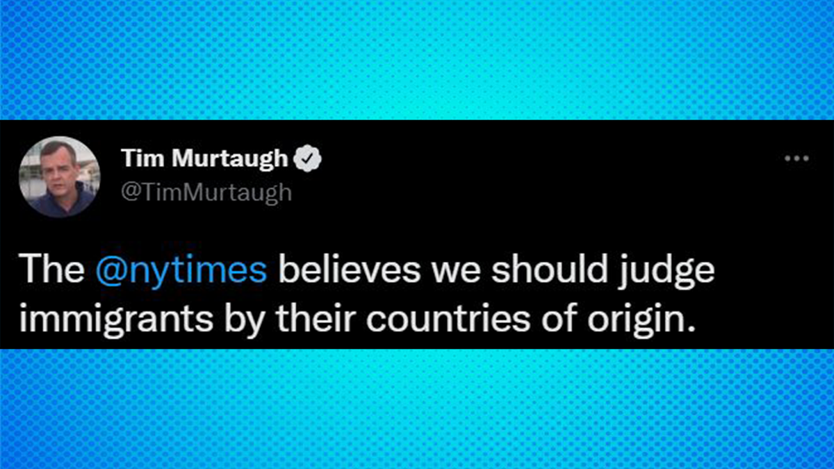 A New York Times article on Elon Musk's childhood in South Africa drew scrutiny from Tim Murtaugh, a Washington Times columnist.