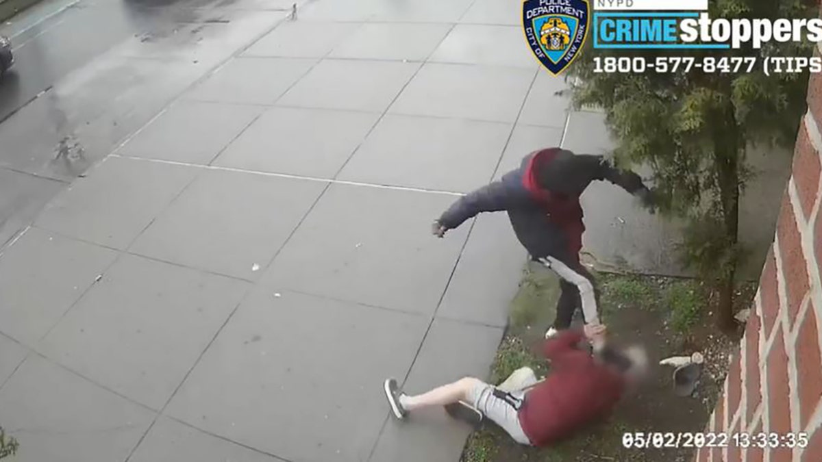 New York City assault robbery attempt