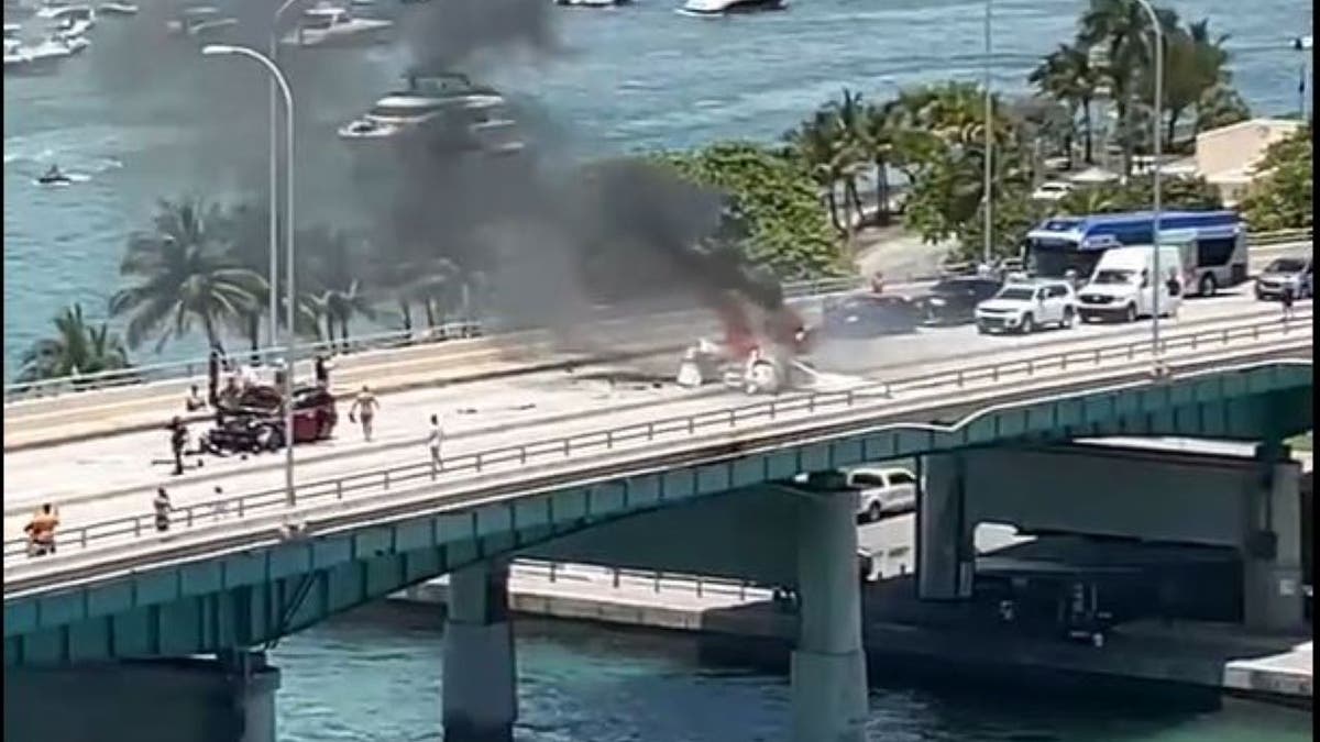 A small plane crashed in South Florida Saturday leaving 1 injured
