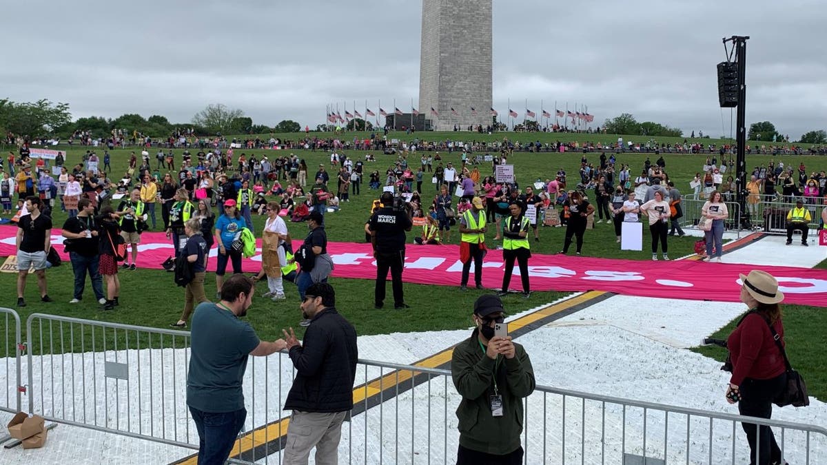 Crowds gather at Washington Monument in Washington, D.C. for the Bans Off Our Bodies pro-choice march.