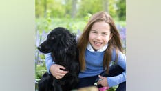 William and Kate celebrate Princess Charlotte's seventh birthday with new photos