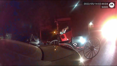 Ohio deputy encounters 'drunk Amish guy' slumped over in moving buggy: 'The horse knows how to get home'