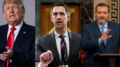 2024 presidential contenders weigh in on how Supreme Court leak may impact midterm elections