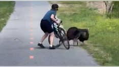 Wild, aggressive turkey terrorizes nation’s capital, slips across state lines into Maryland