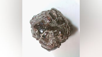 Man finds 2.38-carat diamond in Arkansas park