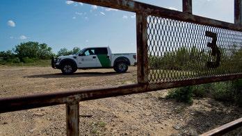 Texas Border Patrol agents arrest two sex offenders who illegally entered US from Mexico