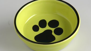 Wisconsin dog who went viral after being left tied to fire hydrant gets new home