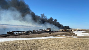 Train erupts into flames after several box cars derail