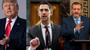 2024 presidential contenders weigh in on how Supreme Court leak may impact midterm elections