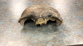 Minnesota kayakers find human skull nearly 8,000 years old in river
