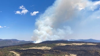 New Mexico's largest wildfire traced back to Forest Service prescribed burns