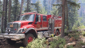 Fire in New Mexico: Crews make progress on state's largest blaze
