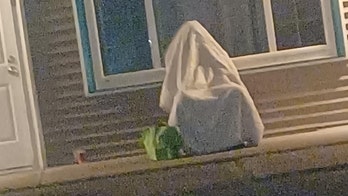 Drunken Maine man arrested after trying to hide from police under blanket: 'Is this an episode of Scooby-Doo?'