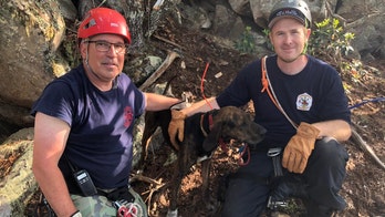 Tennessee firefighters rescue dog trapped in cave after falling 35 feet