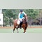 Prince Harry is treated like 'one of the guys' at polo matches in Santa Barbara: source