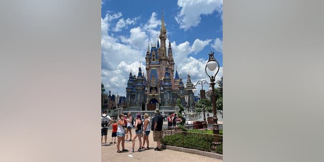 Disney Cost