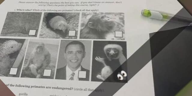 School work assigned to students at The Roeper School in Michigan comparing former President Barack Obama to monkeys.