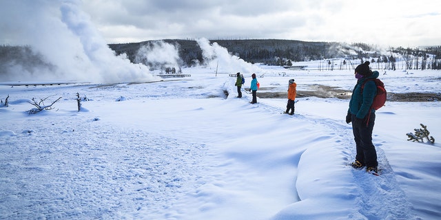 Travelers view Yellowstone National Park's thermal features during snowy winter. (Jackson Hole EcoTour Adventures/@Joshmettenphoto)