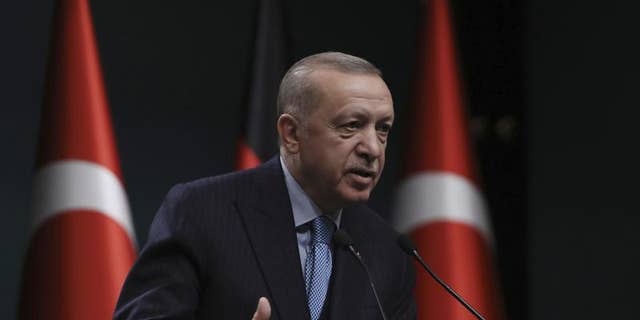 Turkey's President Recep Tayyip Erdogan speaks during a news conference, in Ankara, Turkey, on May 14.